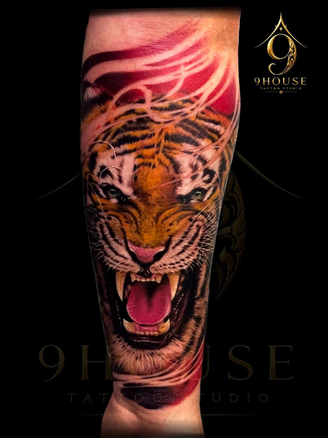 Tiger — colour realism, tattooed at 9 House